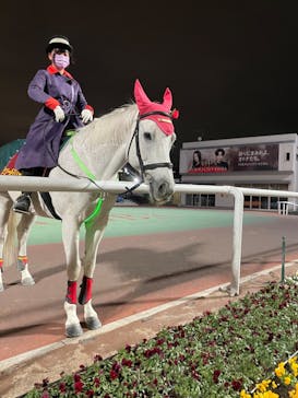 東京メガイルミに投稿された画像（2022/1/30）