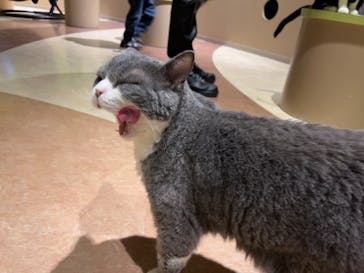 Moff animal world MARK IS みなとみらい店に投稿された画像（2022/1/30）