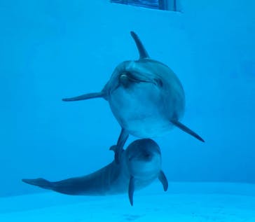 名古屋港水族館に投稿された画像（2022/1/30）