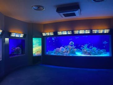 新江ノ島水族館に投稿された画像（2022/1/30）