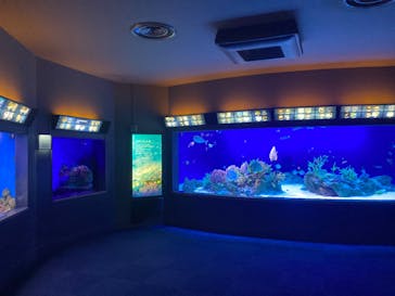 新江ノ島水族館に投稿された画像（2022/1/30）