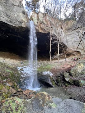 ジャパンだるまツアーに投稿された画像（2022/1/30）