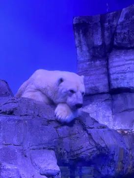 横浜・八景島シーパラダイスに投稿された画像（2022/1/31）