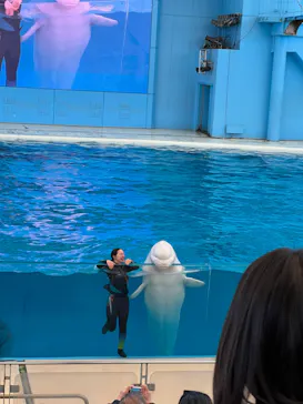 横浜・八景島シーパラダイスに投稿された画像（2022/1/31）