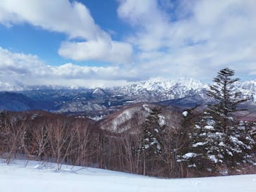 戸隠スキー場に投稿された画像（2022/1/31）