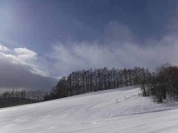 Mt.乗鞍スノーリゾートに投稿された画像（2022/1/31）