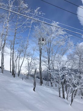 白馬八方尾根スキー場に投稿された画像（2022/1/31）