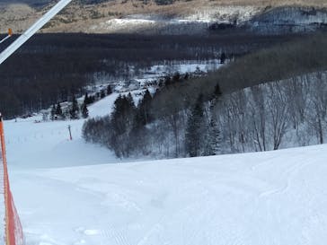 しらかば2in1スキー場に投稿された画像（2022/1/31）