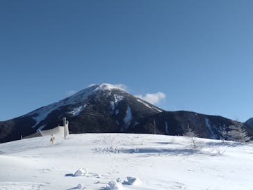 しらかば2in1スキー場に投稿された画像（2022/1/31）