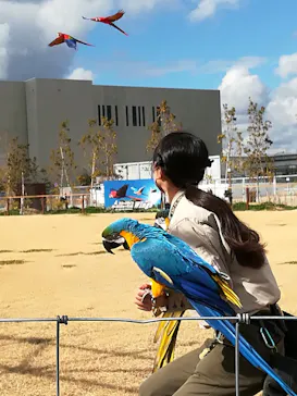 神戸どうぶつ王国に投稿された画像（2022/1/31）