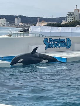 鴨川シーワールドに投稿された画像（2022/1/31）