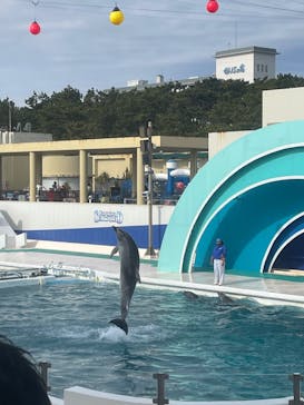 鴨川シーワールドに投稿された画像（2022/1/31）