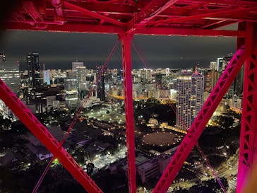 東京タワーに投稿された画像（2022/1/31）