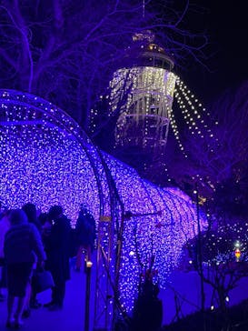 江の島シーキャンドルに投稿された画像（2022/1/31）