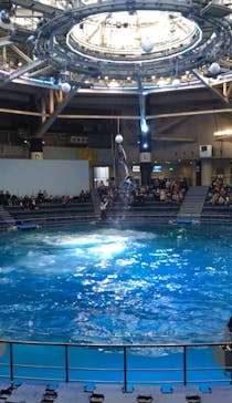 マクセル アクアパーク品川に投稿された画像（2022/1/31）