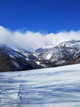 白馬岩岳スノーフィールドに投稿された画像（2022/2/1）