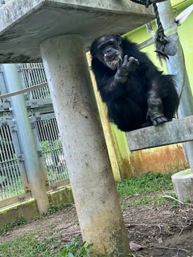 沖縄こどもの国に投稿された画像（2022/2/1）