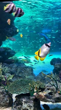 サンシャイン水族館に投稿された画像（2022/2/1）