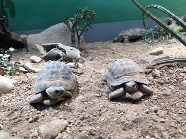 サンシャイン水族館に投稿された画像（2022/2/1）