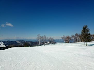 菅平高原スノーリゾートに投稿された画像（2022/2/1）