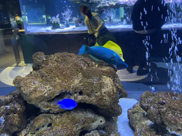 すみだ水族館に投稿された画像（2022/2/1）