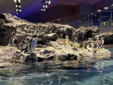 すみだ水族館に投稿された画像（2022/2/1）