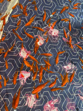 すみだ水族館に投稿された画像（2022/2/1）