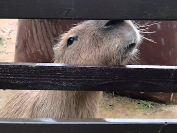 美らヤシパークオキナワ・東南植物楽園に投稿された画像（2022/2/1）