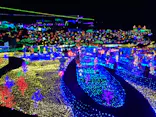 伊豆ぐらんぱる公園に投稿された画像（2022/2/1）