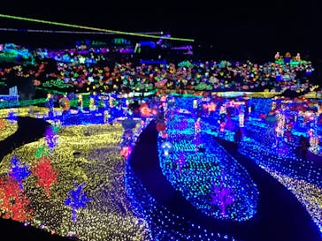 伊豆ぐらんぱる公園に投稿された画像（2022/2/1）