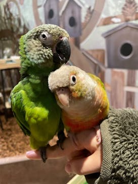 Moff animal world MARK IS みなとみらい店に投稿された画像（2022/2/1）