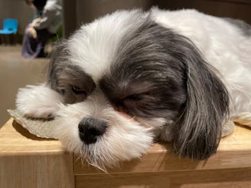 Moff animal world MARK IS みなとみらい店に投稿された画像（2022/2/1）