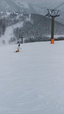 白馬八方尾根スキー場に投稿された画像（2022/2/1）