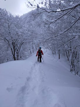ノースナガノアウトドアスポーツに投稿された画像（2022/2/1）