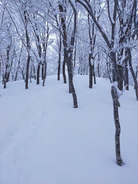 ノースナガノアウトドアスポーツに投稿された画像（2022/2/1）