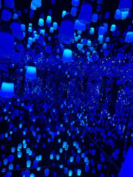 森ビル デジタルアート ミュージアム：エプソン チームラボボーダレスに投稿された画像（2022/2/1）