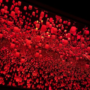 森ビル デジタルアート ミュージアム：エプソン チームラボボーダレスに投稿された画像（2022/2/1）