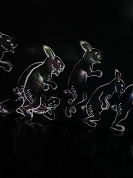 森ビル デジタルアート ミュージアム：エプソン チームラボボーダレスに投稿された画像（2022/2/1）