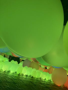 森ビル デジタルアート ミュージアム：エプソン チームラボボーダレスに投稿された画像（2022/2/1）