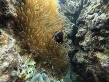 武藤潜水に投稿された画像（2022/2/2）