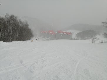 白馬コルチナスキー場に投稿された画像（2022/2/2）