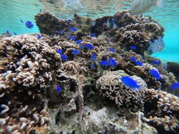 武藤潜水に投稿された画像（2022/2/2）