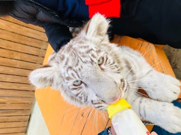 しろとり動物園に投稿された画像（2022/2/2）