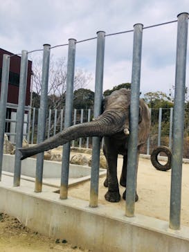 しろとり動物園に投稿された画像（2022/2/2）