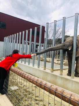 しろとり動物園に投稿された画像（2022/2/2）