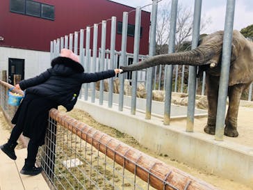 しろとり動物園に投稿された画像（2022/2/2）