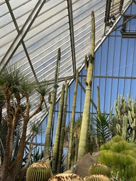 伊豆シャボテン動物公園に投稿された画像（2022/2/2）