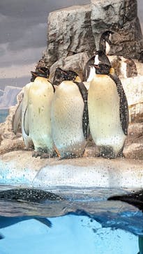 名古屋港水族館に投稿された画像（2022/2/2）