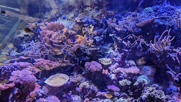 名古屋港水族館に投稿された画像（2022/2/2）