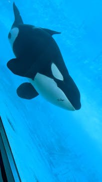 名古屋港水族館に投稿された画像（2022/2/2）